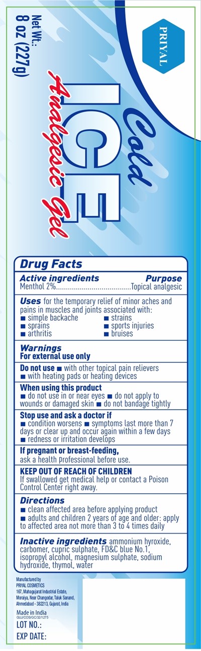 Drug Fact Panel - Analgesic Ice Gel Label